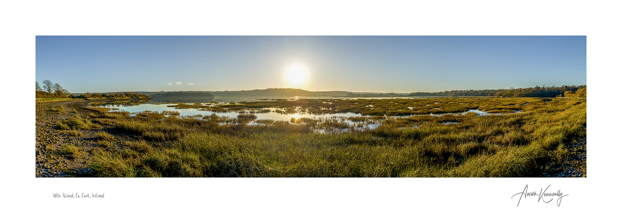 The Weir Island Grasses, Co. Cork, Ireland