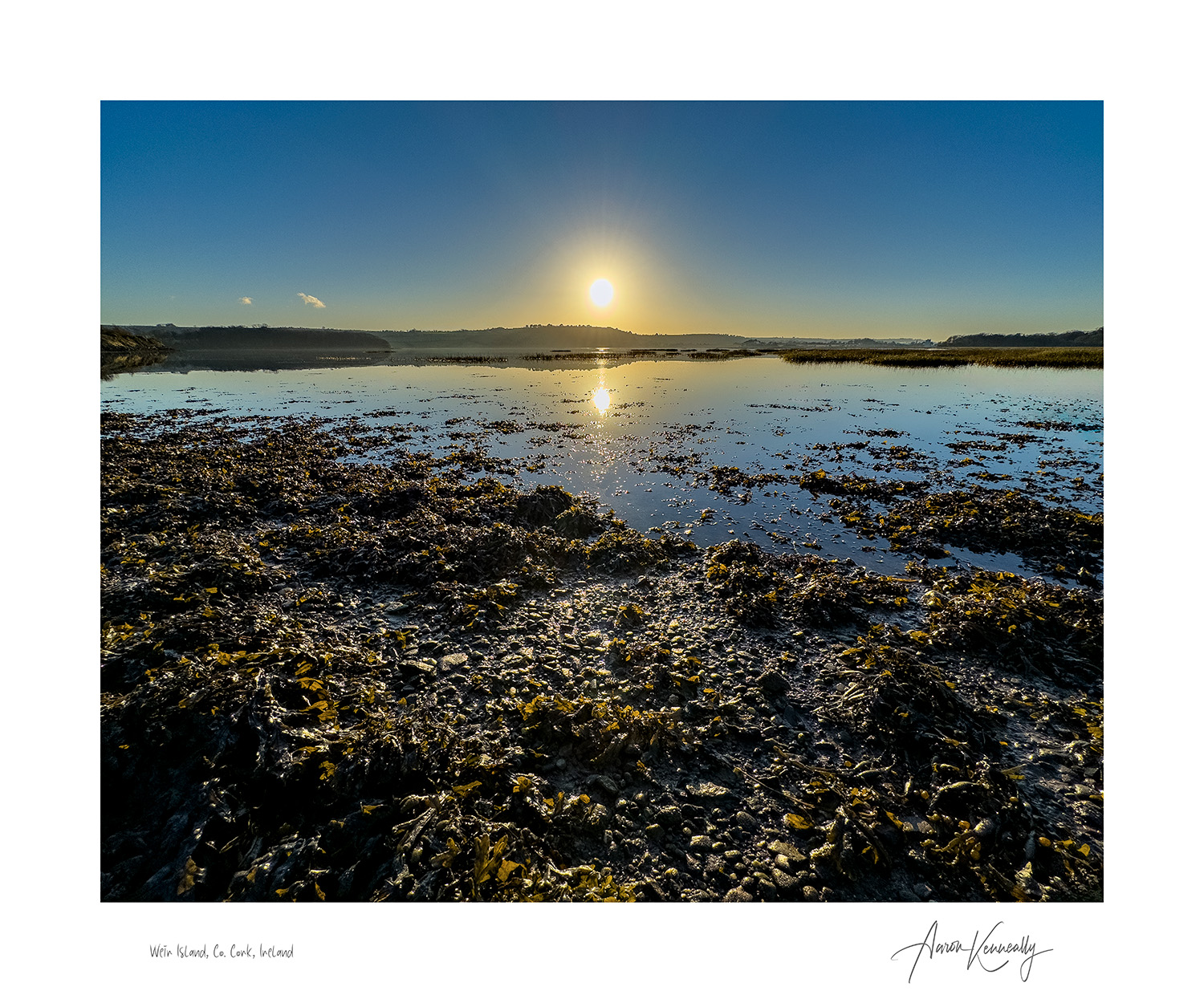 The Weir Island Grasses, Co. Cork, Ireland