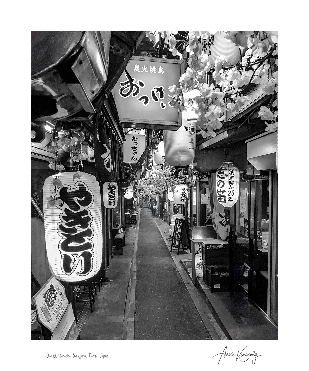 Yakitori Alley, Shinjuku, Tokyo, Japan