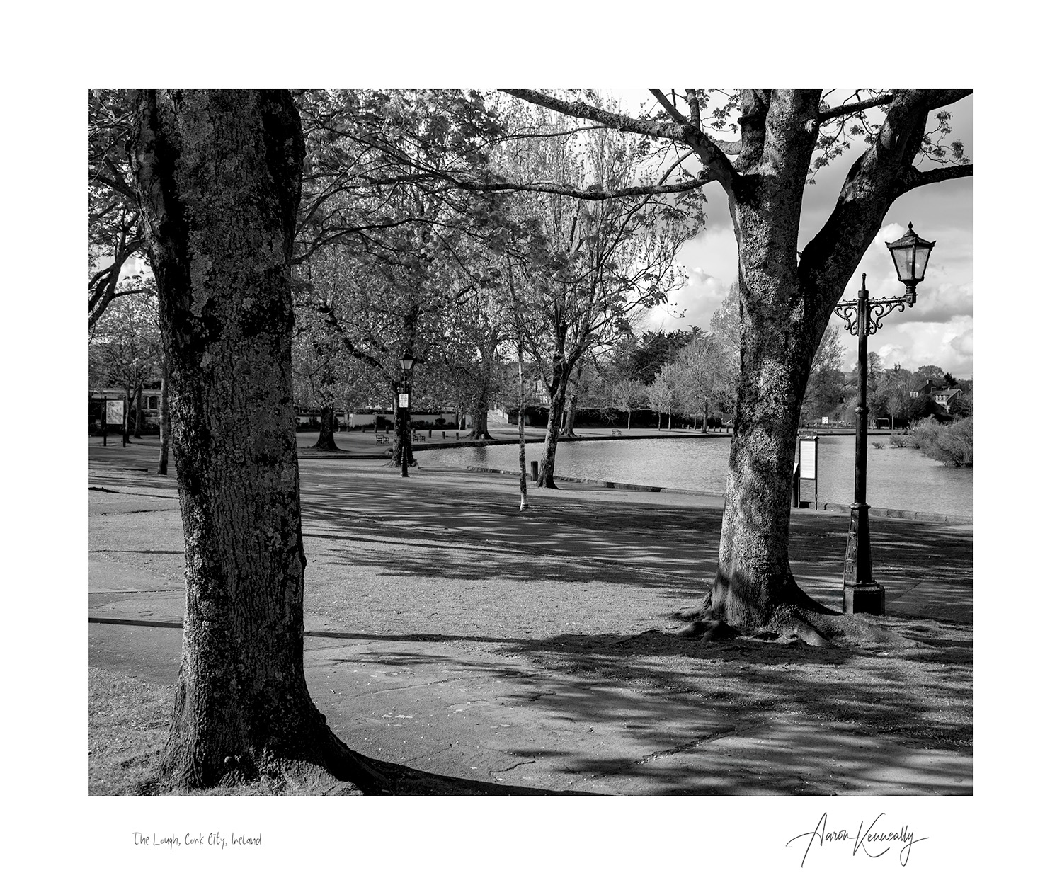 The Lough Lake, Cork City, Ireland