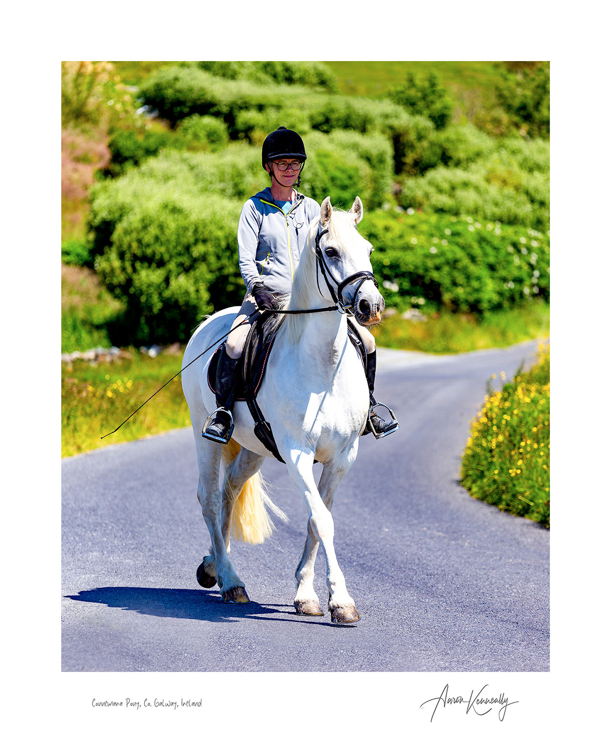Connemara Pony, Co. Galway, Ireland